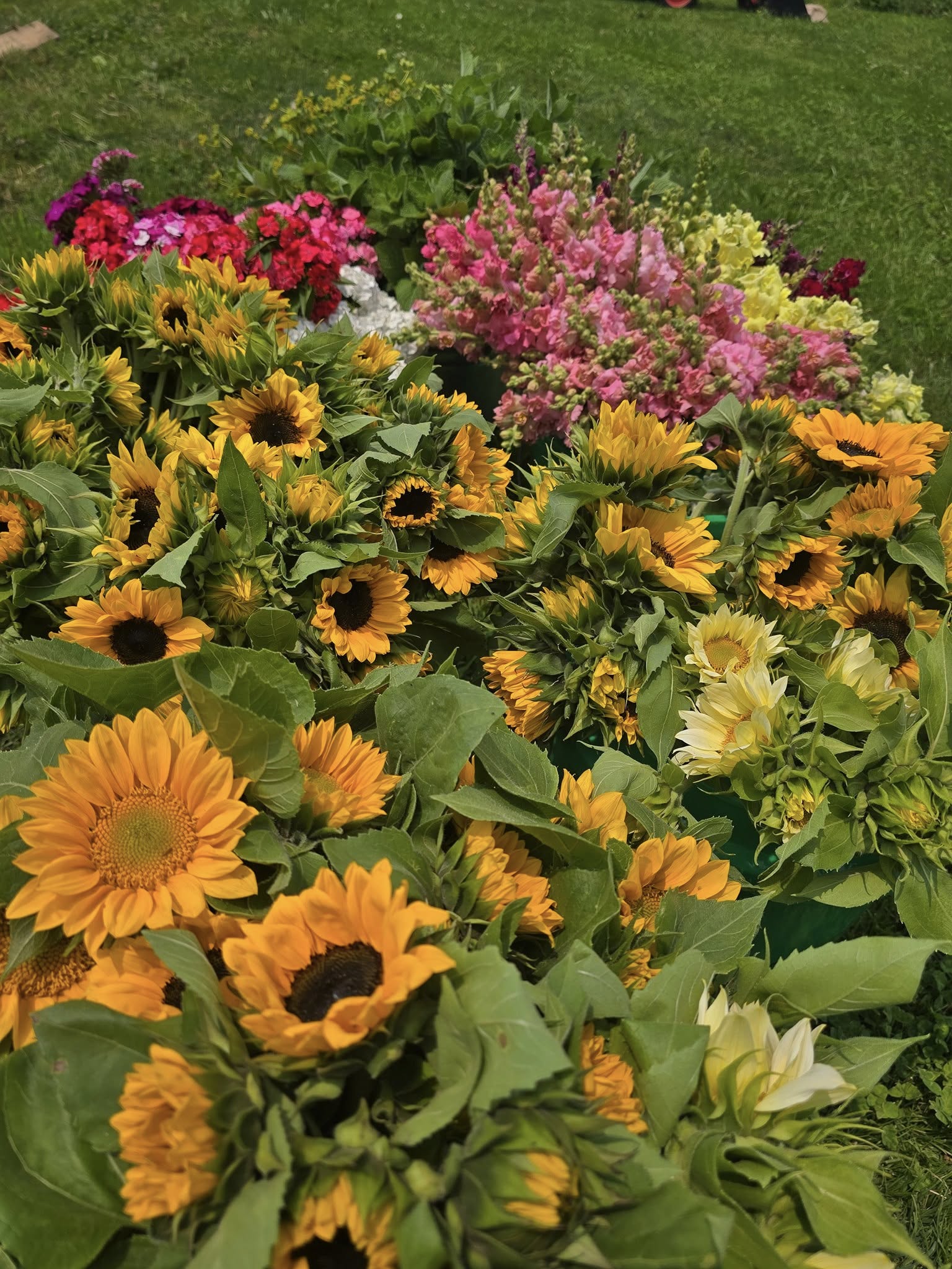 Design-It-Yourself (DIY) Buckets of Flowers