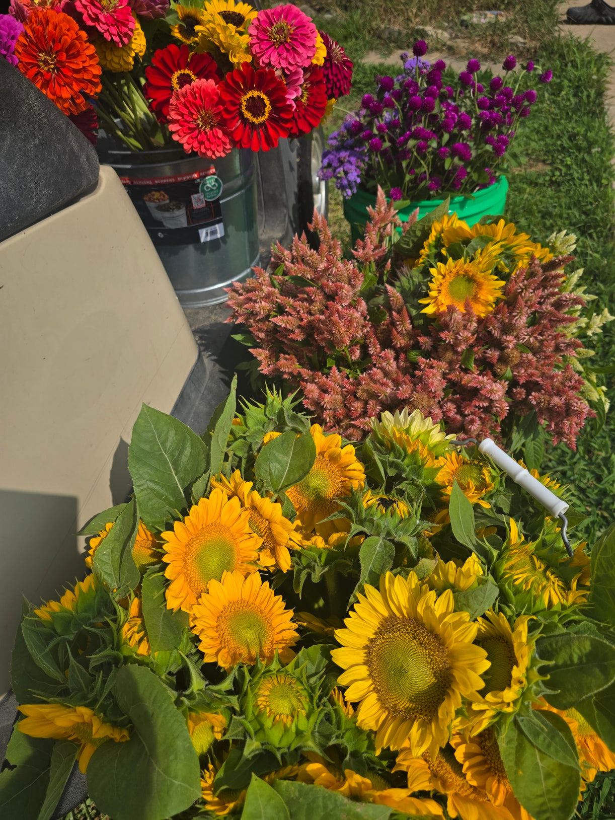 Bouquet Subscription, Summer & Fall Blooms (10 Bouquets)
