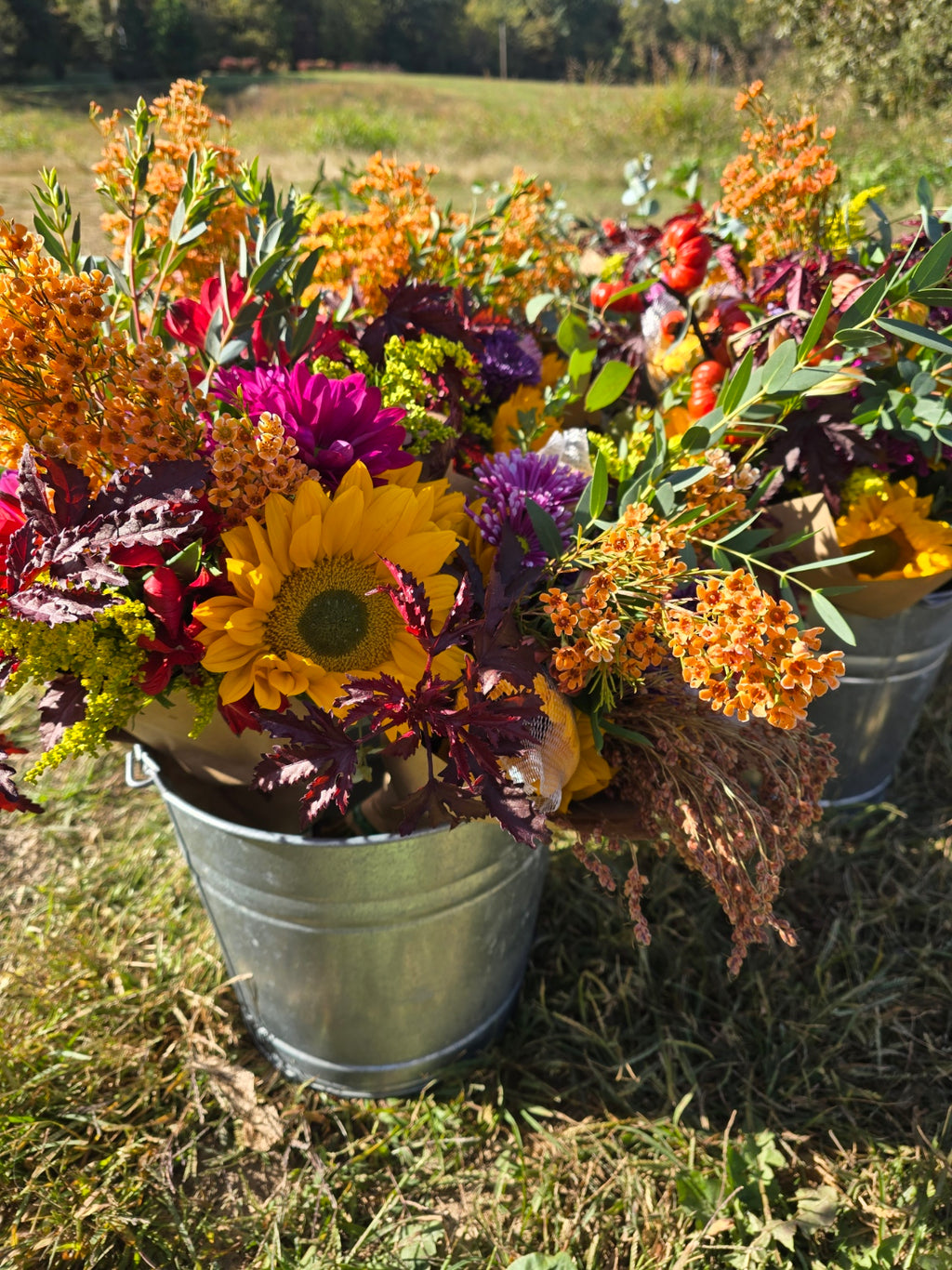 Bouquet Subscription, Fall Blooms (5 Bouquets)