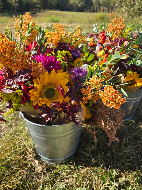 Bouquet Subscription, Fall Blooms (5 Bouquets)