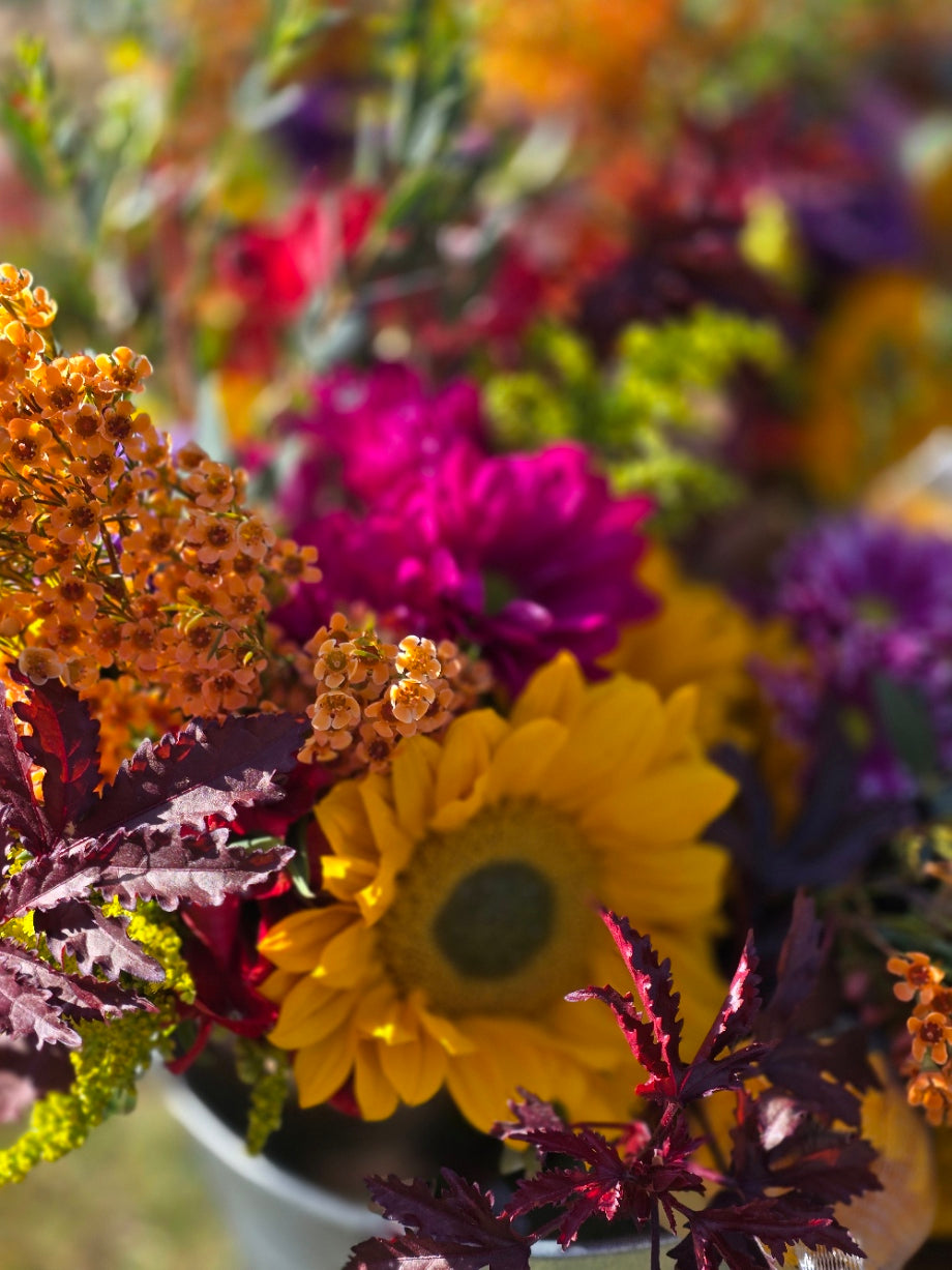 Bouquet Subscription, Summer & Fall Blooms (10 Bouquets)