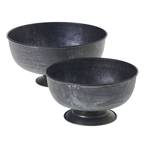 Amaryllis Bulb Garden, 3 Bulbs in Fable Compote