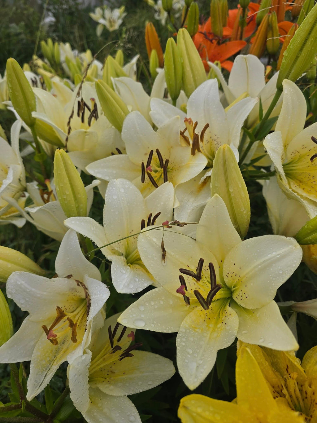 DIY (Design-It-Yourself) Bucket of Flowers